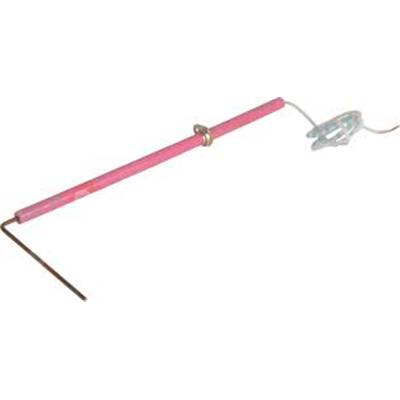 ELECTRODE IONISATION