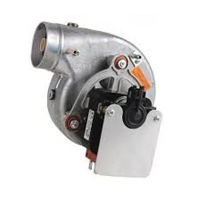 EXTRACT. VITESS. VARIAB.